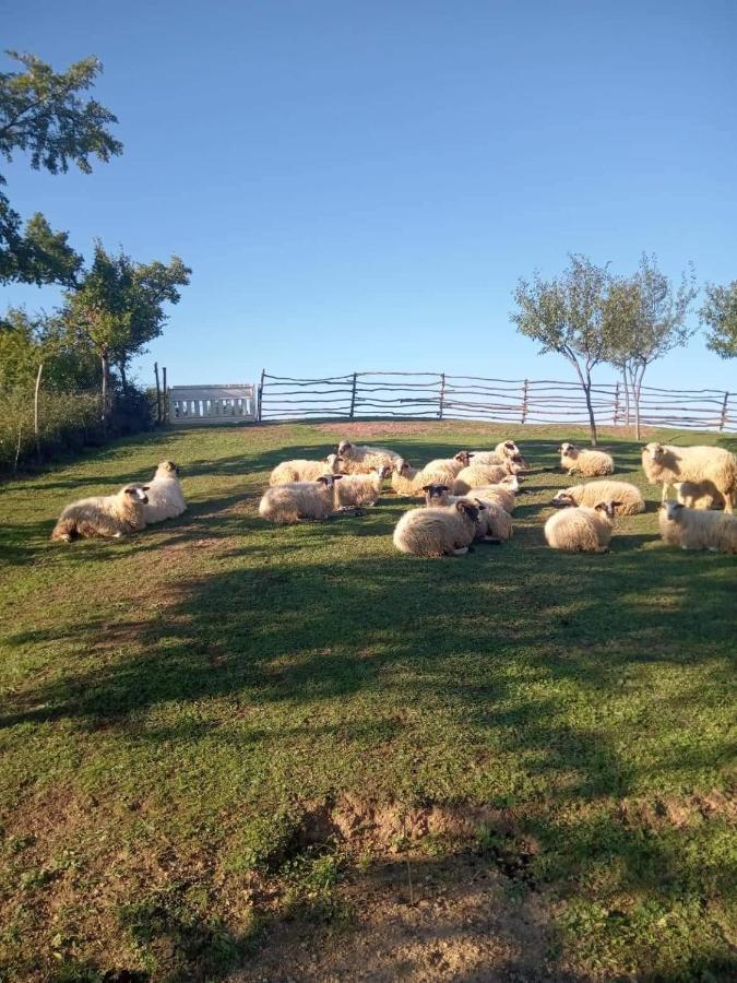 Chez Marthe, Organic Farm * Knin