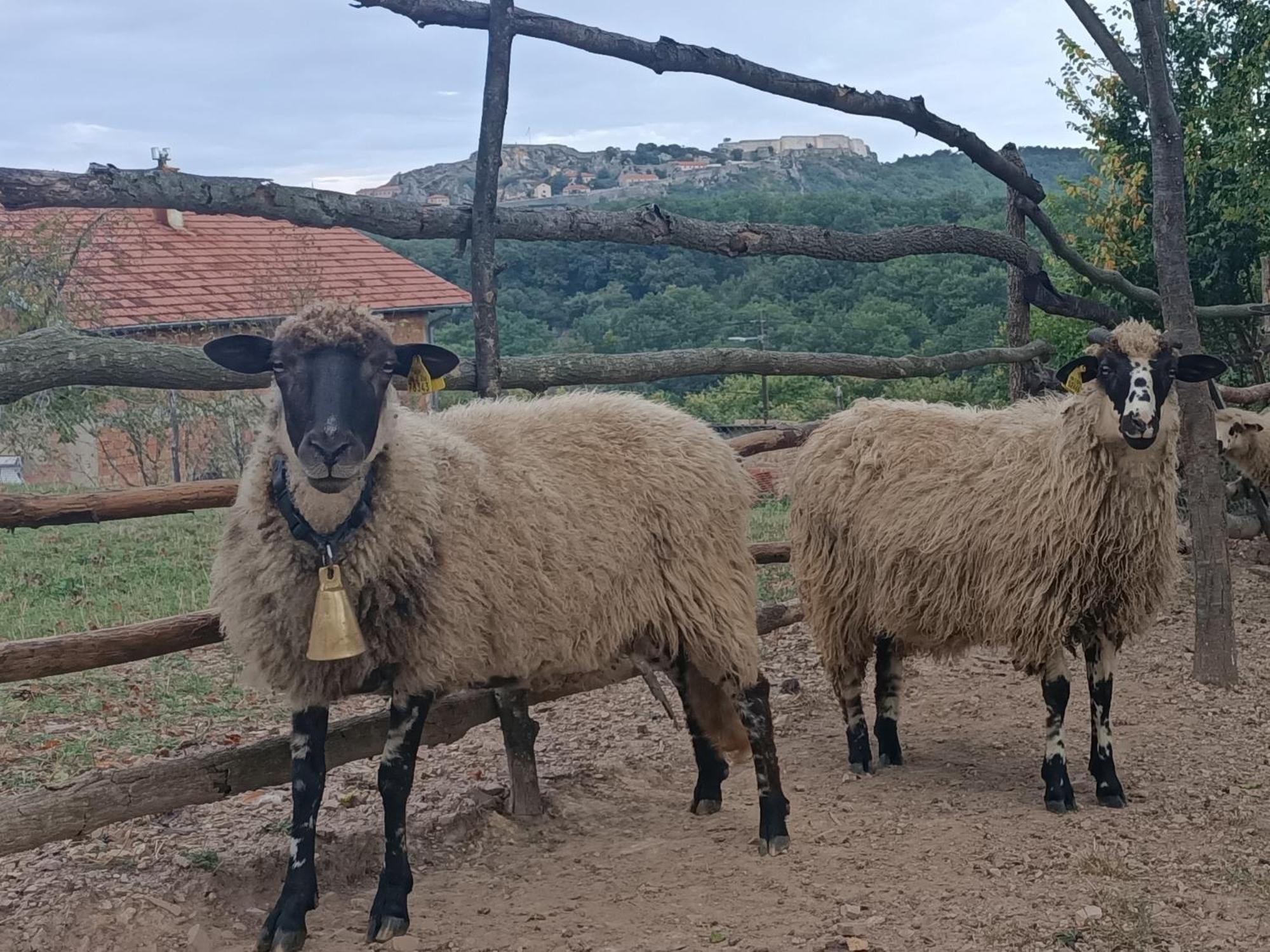 Apartman Chez Marthe, Organic Farm *